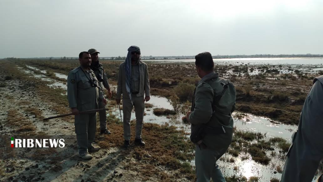 پایش گسترده حوزه شمالی تالاب بامدژ