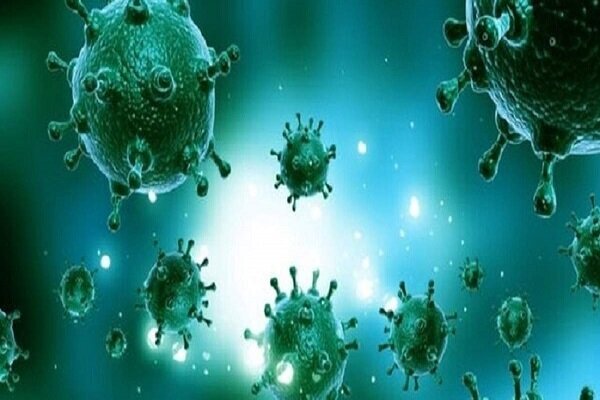 ثبت اولین مرگ ناشی از آنفلوآنزای H۳N۲ در هرمزگان ثبت اولین مرگ ناشی از آنفلوآنزای H۳N۲ در هرمزگان