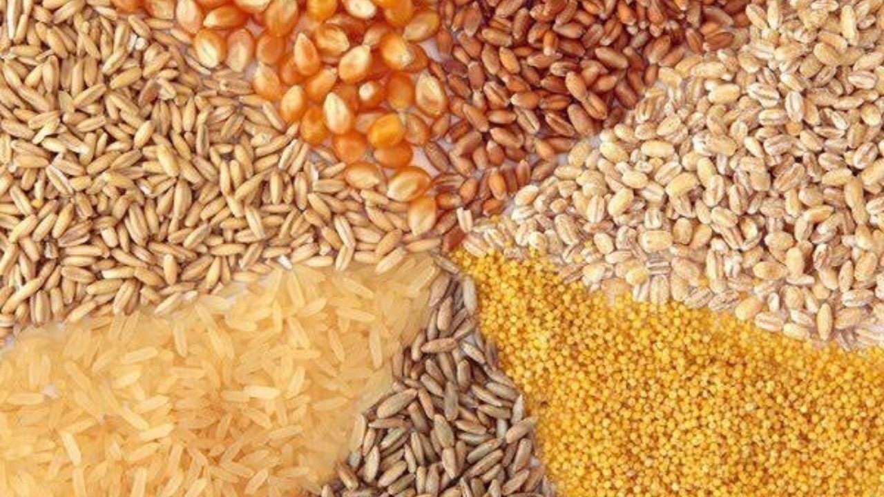 کشف انبار نهاده دامی به ارزش  ۸۵۰ میلیارد ریال در عجب‌شیر