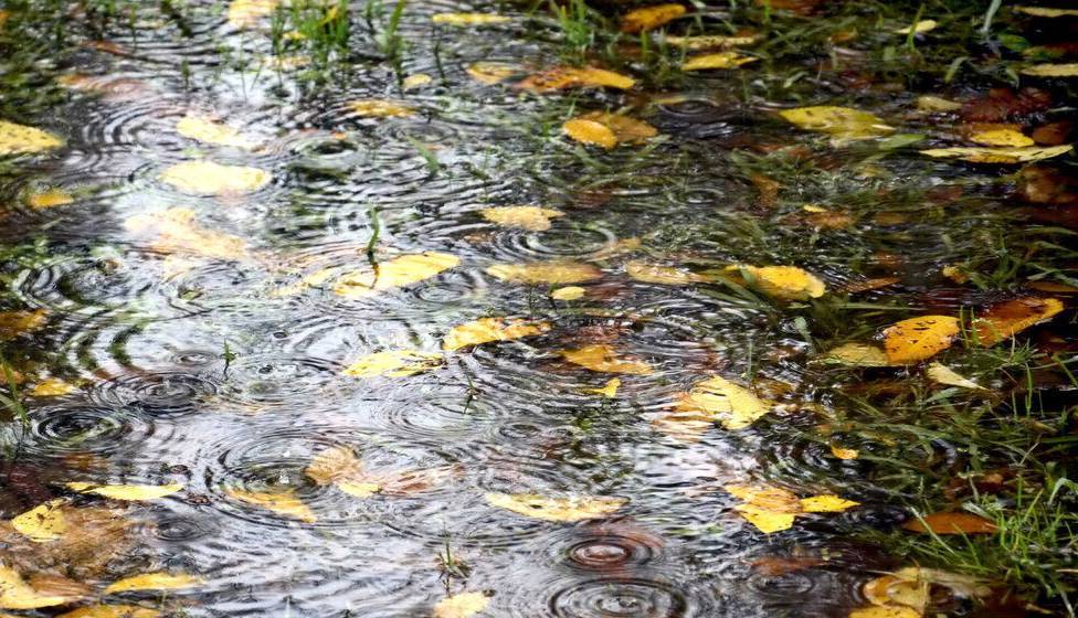 برف و باران، پاییز فارس را بدرقه کرد برف و باران، پاییز فارس را بدرقه کرد