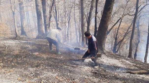 مهار گسترده آتشسوزی در جنگلهای گلستان مهار گسترده آتشسوزی در جنگلهای گلستان