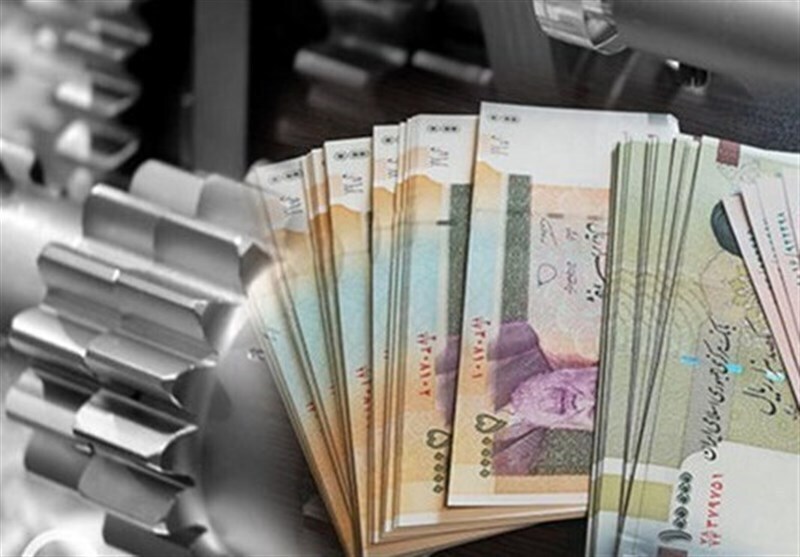 اختصاص ۲۶ درصد تسهیلات تبصره ۱۸ خراسان جنوبی به بانوان