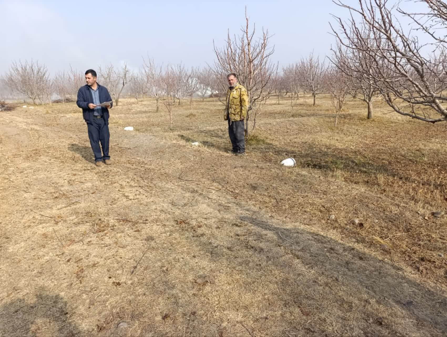 تحول در باغداری ارومیه با برقدار شدن چاههای کشاورزی تحول در باغداری ارومیه با برقدار شدن چاههای کشاورزی