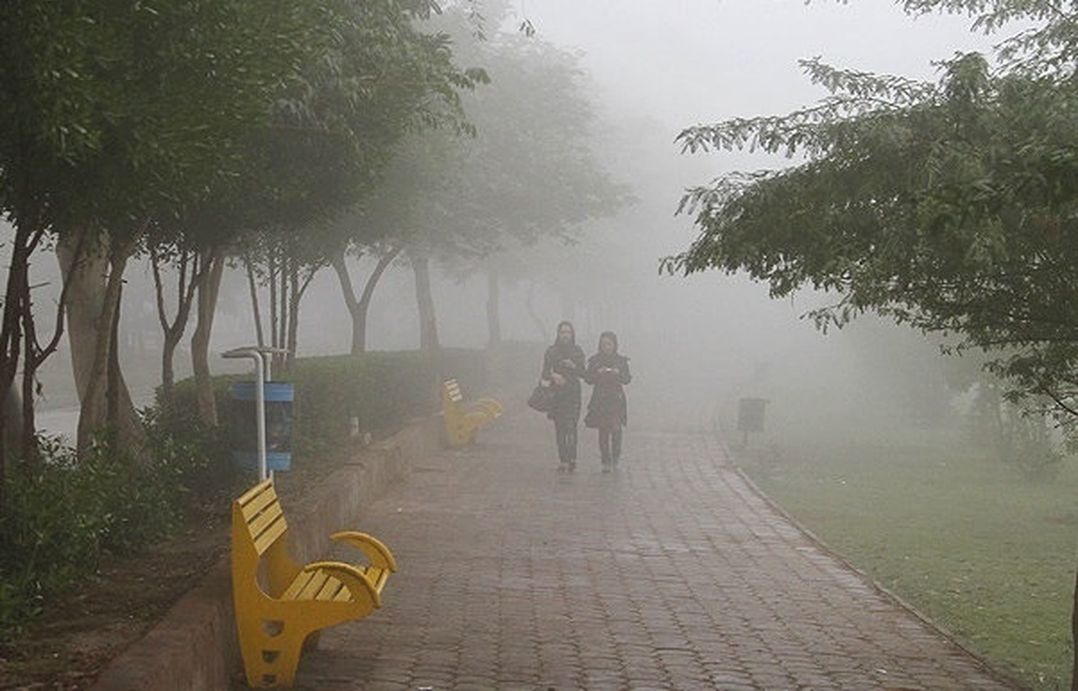 پیش بینی وقوع پدیده مه در سواحل و مناطق جنوبی استان پیش بینی وقوع پدیده مه در سواحل و مناطق جنوبی استان