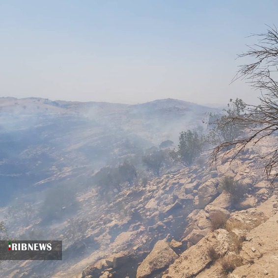 مهار آتش سوزی در ارتفاعات خائیز کهگیلویه
