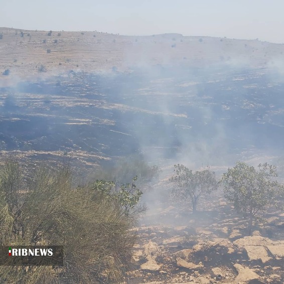 مهار آتش سوزی در ارتفاعات خائیز کهگیلویه